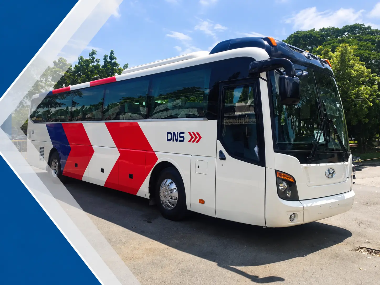 DNS coach for group transport